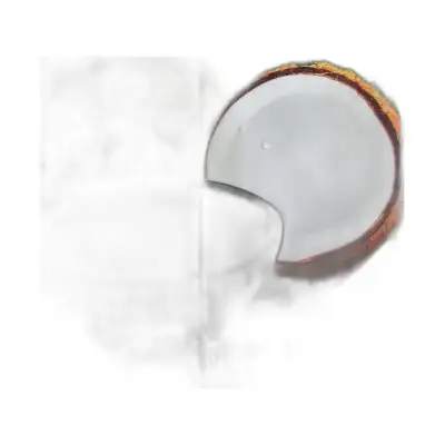 Aroy-D Coconut Milk 250ml