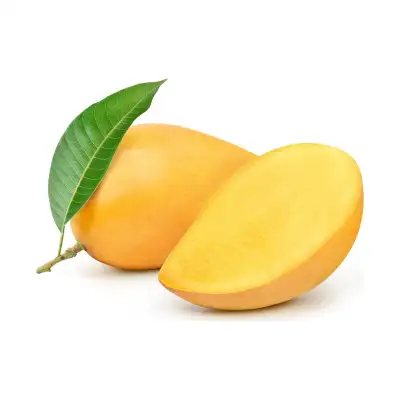 Yellow Mango